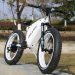 Are there Fat tire Electric Mountain bikes?